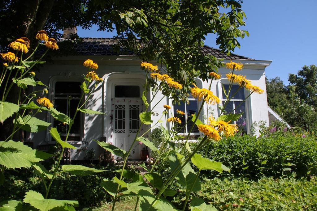 Koningin Van Pieterburen Bed & Breakfast Exterior photo